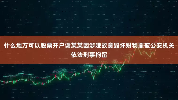什么地方可以股票开户谢某某因涉嫌故意毁坏财物罪被公安机关依法刑事拘留